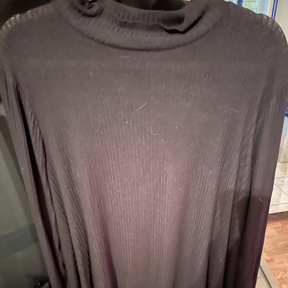 Knit turtle neck top by Lane Bryant.